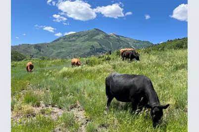 3456 Cr 124, Durango, CO 81326 - Photo 35