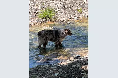 3456 Cr 124, Durango, CO 81326 - Photo 39