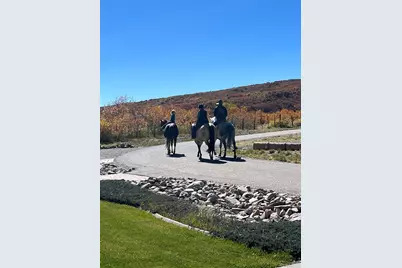 3456 Cr 124, Durango, CO 81326 - Photo 33