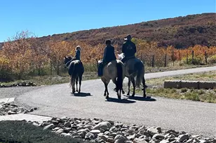 3456 Cr 124, Durango, CO 81326 - Photo 33