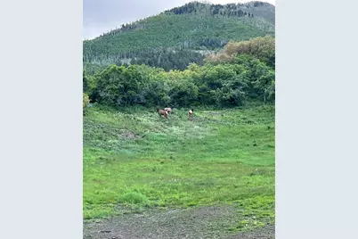 3456 Cr 124, Durango, CO 81326 - Photo 37