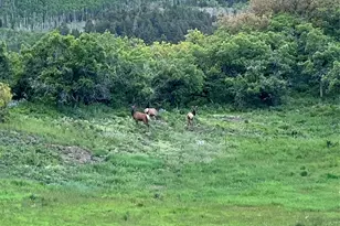 3456 Cr 124, Durango, CO 81326 - Photo 37