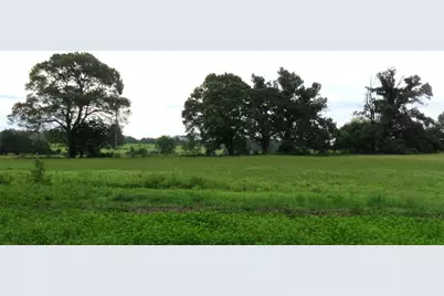 355 Cr 3204, Quitman, TX 75783 - Photo 1