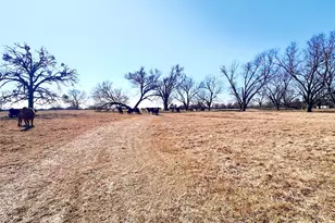 0 Hwy 155 & Cr 435, Frankston, TX 75763 - Photo 39