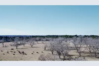 0 Hwy 155 & Cr 435, Frankston, TX 75763 - Photo 37