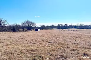 0 Hwy 155 & Cr 435, Frankston, TX 75763 - Photo 17