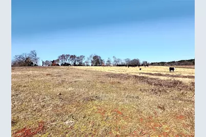 0 Hwy 155 & Cr 435, Frankston, TX 75763 - Photo 9