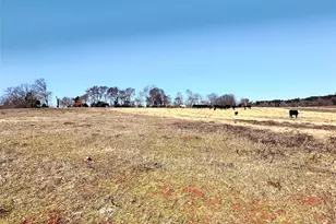 0 Hwy 155 & Cr 435, Frankston, TX 75763 - Photo 9