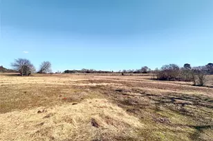 0 Hwy 155 & Cr 435, Frankston, TX 75763 - Photo 5