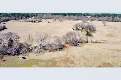 0 Hwy 155 & Cr 435, Frankston, TX 75763 - Photo 25