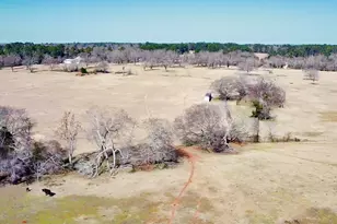 0 Hwy 155 & Cr 435, Frankston, TX 75763 - Photo 25