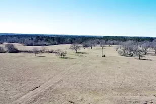 0 Hwy 155 & Cr 435, Frankston, TX 75763 - Photo 35