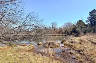 0 Hwy 155 & Cr 435, Frankston, TX 75763 - Photo 11