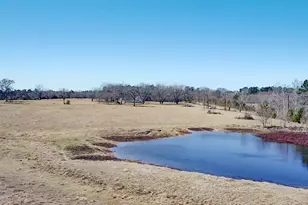 0 Hwy 155 & Cr 435, Frankston, TX 75763 - Photo 33