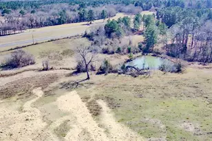 0 Hwy 155 & Cr 435, Frankston, TX 75763 - Photo 21