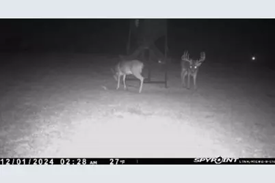 4251 Refuge Road, Sherman, TX 75092 - Photo 11