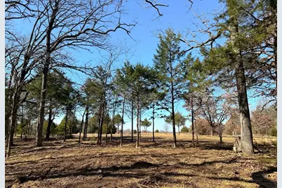 800 Burrows Chapel Road, Gordonville, TX 76245 - Photo 1