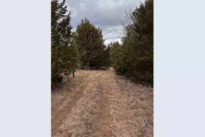 800 Burrows Chapel Road, Gordonville, TX 76245 - Photo 5