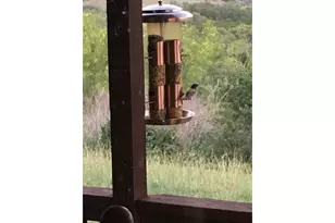 12516 Wire Rd, Leander, TX 78641 - Photo 37