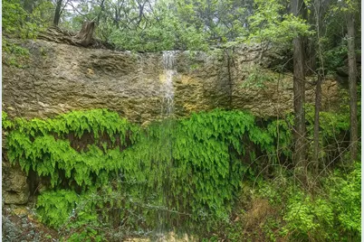 12516 Wire Road, Leander, TX 78641 - Photo 5