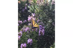 12516 Wire Rd, Leander, TX 78641 - Photo 35