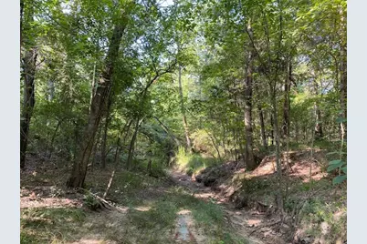 000 Cr 41514, Athens, TX 75751 - Photo 5