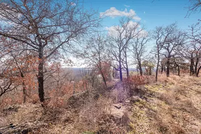 53 Ac Travis Drive, Mineral Wells, TX 76067 - Photo 5