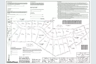 53 Ac Travis Drive, Mineral Wells, TX 76067 - Photo 3