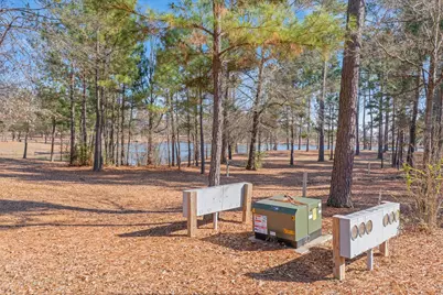 4776 Fm 17, Grand Saline, TX 75140 - Photo 39