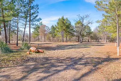 4776 Fm 17, Grand Saline, TX 75140 - Photo 31