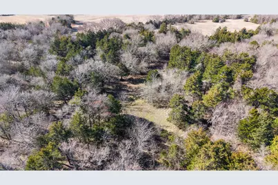 37.3 Ac Cr 1130, Cumby, TX 75402 - Photo 27