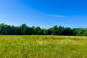 Lot 65 Kilkenny Rd, Poolville, TX 76487 - Photo 1