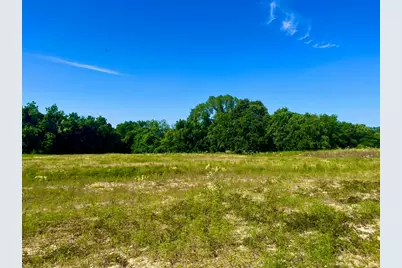 Lot 65 Kilkenny Road, Poolville, TX 76487 - Photo 3