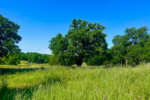 Lot 75 Kilkenny Rd, Poolville, TX 76487 - Photo 1