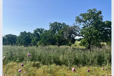 Lot 75 Kilkenny Road, Poolville, TX 76487 - Photo 3