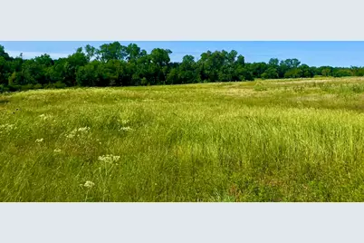 Lot 69 Kilkenny Road, Poolville, TX 76487 - Photo 5