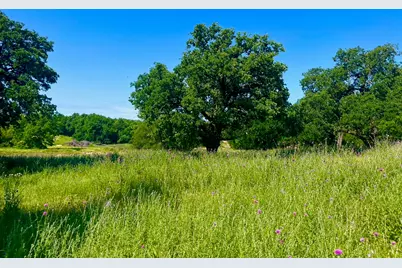 Lot 69 Kilkenny Road, Poolville, TX 76487 - Photo 1