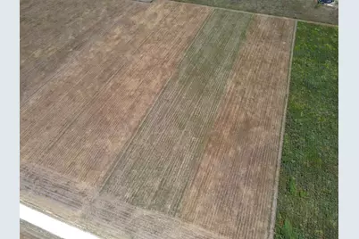 9141 County Road 101A, Grandview, TX 76050 - Photo 3