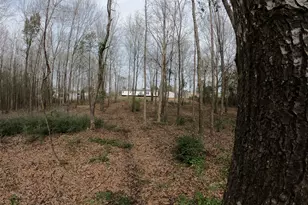 141 Tanglewood Dr, Gilmer, TX 75645 - Photo 3