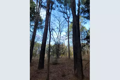 373 Cr-3907, Athens, TX 75752 - Photo 17