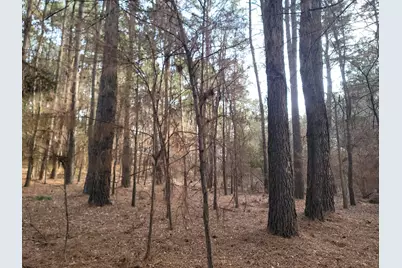 373 Cr-3907, Athens, TX 75752 - Photo 15