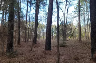 373 Cr-3907, Athens, TX 75752 - Photo 1