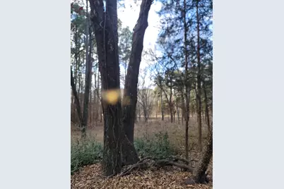 373 Cr-3907, Athens, TX 75752 - Photo 11