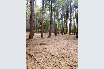 373 Cr-3907, Athens, TX 75752 - Photo 3