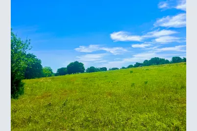 Lot 102 Arlow Road, Poolville, TX 76487 - Photo 3