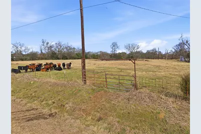 742 County Road 1144, Miller Grove, TX 75472 - Photo 9