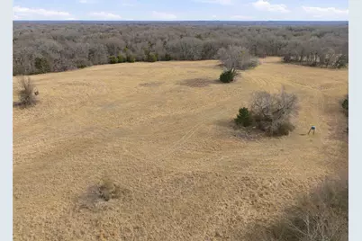 742 County Road 1144, Miller Grove, TX 75472 - Photo 15
