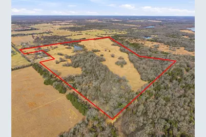 742 County Road 1144, Miller Grove, TX 75472 - Photo 3