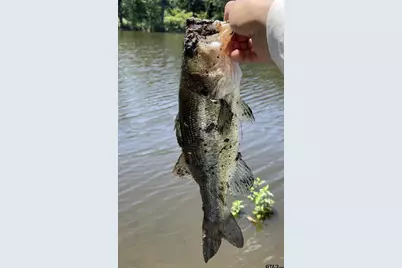 190 County Road 4826, Winnsboro, TX 75494 - Photo 11