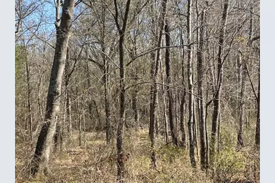 4101 Cr 3703, Athens, TX 75752 - Photo 31